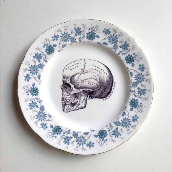 Vintage Anatomical Skull Plate Altered Art gothic