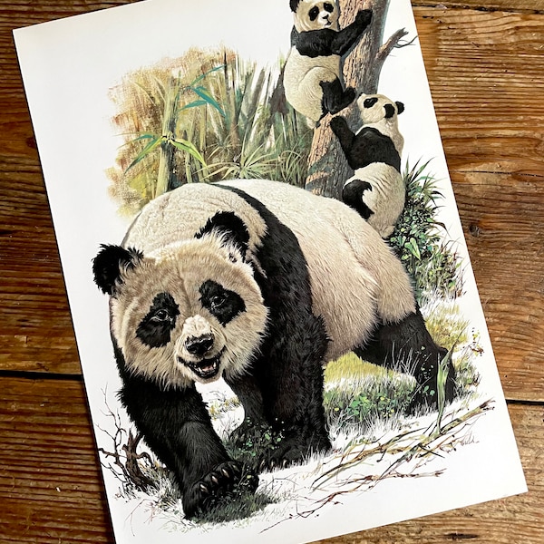 Vintage Book Plates - Etsy