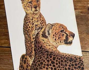 Vintage Book Plate Page of Cheetah / printed 1977 Illustration / wild animal art / safarai / natural history / ornithology / actual page