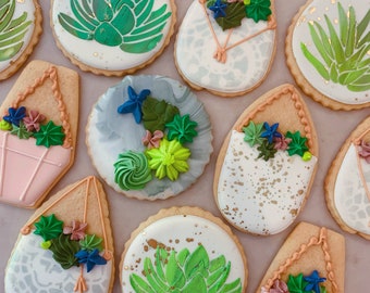 Succulent Decorated Sugar Cookies-1 dozen