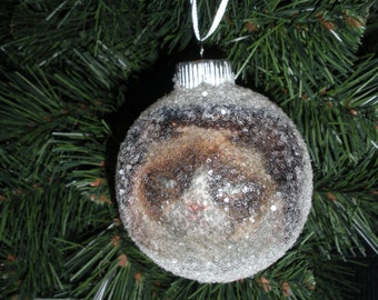 NEW!! Grumpy Cat glass glitter ornament