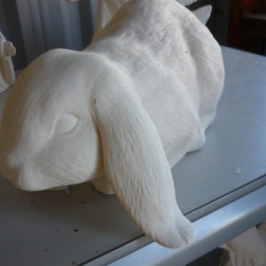 Lying Lop Earred Bunny Ready to Paint