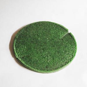 May include: A round, textured, dark green object with a slightly irregular edge. The object has a crack on one side. The surface has a speckled appearance. The object is set against a white background.