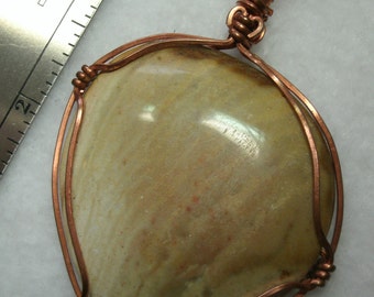 Fossil Palm Wood wire wrapped Pendant