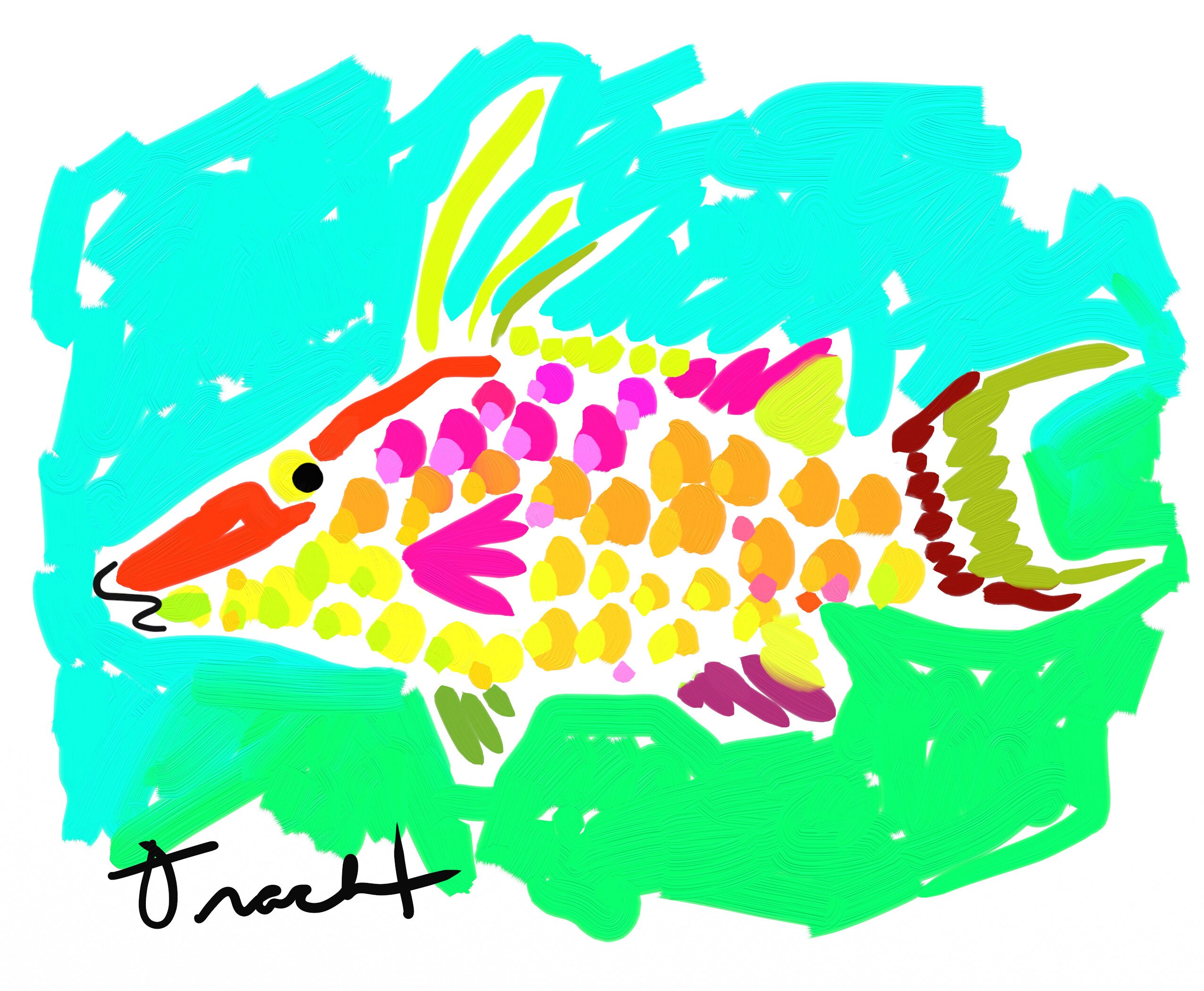 Hog Snapper Fish Print by Kelly Tracht Nautical Decor Ocean | Etsy
