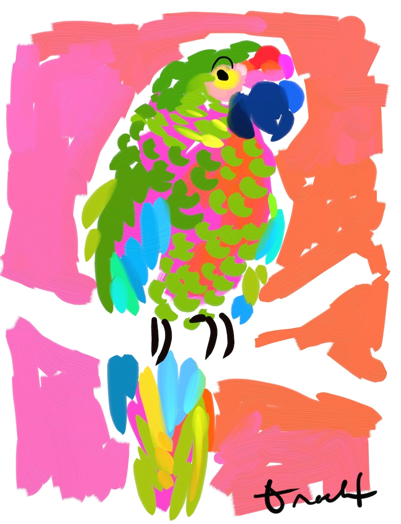 Pink and Green Parrot Art Print