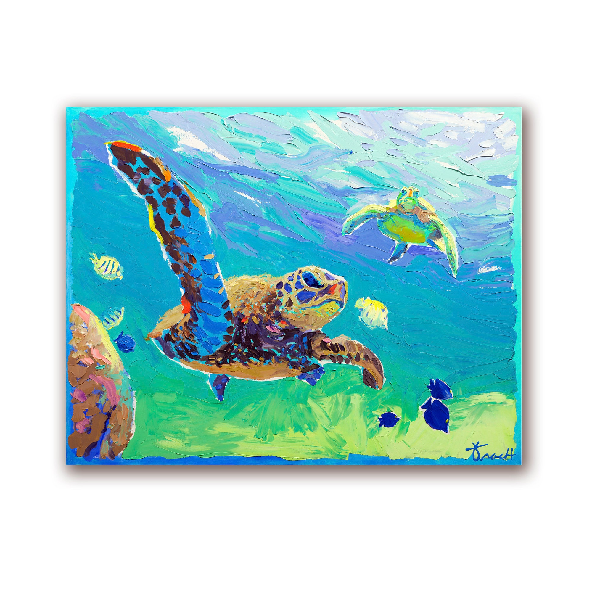 Underwater Turtle Print by Kelly Tracht Beach Art -