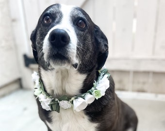Wedding Felt Floral Dog Collar || Flower Dog Collar || Handmade Dog Collar || Pretty Dog Collar || Floral Cat Collar