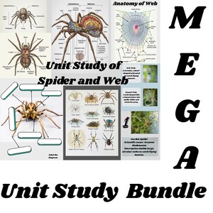 Fall unit studies Bundle, Hedgehog, Owl,Fox,Squirrel Deer,spider, maple tree,Autumn Homeschool activities , Halloween homeschool printables