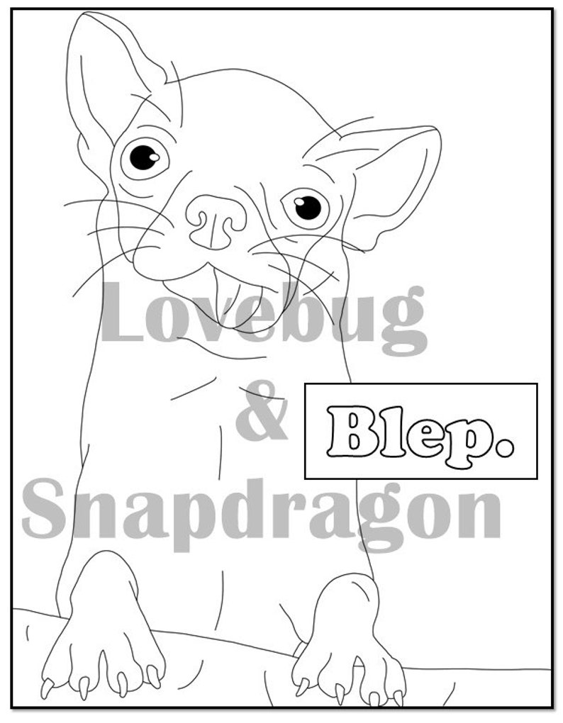 Download Pet Portraits Coloring Pages Rainy Day Activity Art Therapy Animal Bleps Digital Coloring Book Instant Print Pdf Travel Activity Secret Santa Gift Urns Memorials