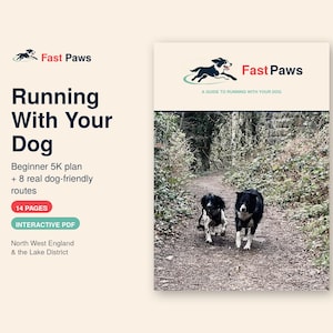 Może przedstawiać: Cyfrowy przewodnik zatytułowany Fast Paws Running With Your Dog, zawierający plan 5K i 8 tras w północno-zachodniej Anglii. Okładka przedstawia dwa psy biegnące leśną ścieżką, z wyraźnie widocznym tekstem 14 PAGES oraz INTERACTIVE PDF.