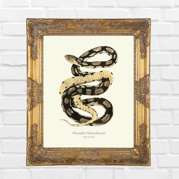 Vintage Snake Print, Pine Snake Print, Printable Wall Art, Victorian Art, Living Room Decor, Wall Art Poster, Digital Download