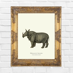 Vintage Rhino Print, Indian Rhino Print, Rhinoceros, Printable Wall Art, Victorian Art, Living Room Decor, Wall Art Poster, Digital Download