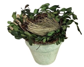 Boxwood Bird Nest Decorative Pot, Spring Decor, Summer Decor, Tabletop or Shelf, Patio, Real Boxwood and Grapevine Twig Nest, 4.5 T x 6 W