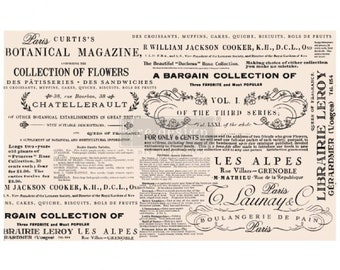 Re-Design- Prima- Décor Tissue Paper-Floral Text - 1 Sheet of 19" inches by 30" inches for furniture, arts and crafts, home décor