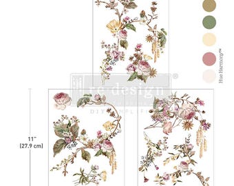 Rosette Royale, Re-Design Décor Transfers, DIY, Mixed Media, Rub On, Furniture Transfers, 3 Sheets 8.5 x11 inches
