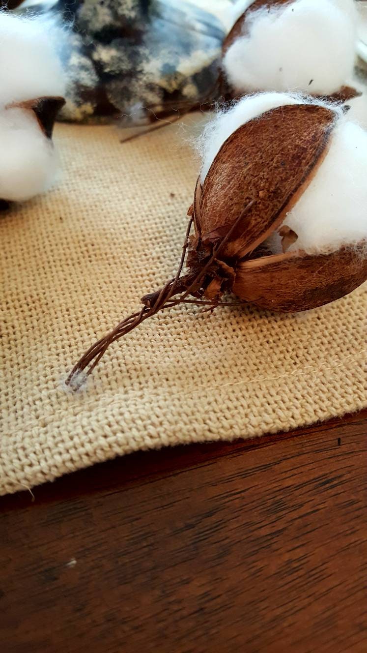 Cotton Pods, Set of 12, Home and Floral Arrangements, Farmhouse Decorating