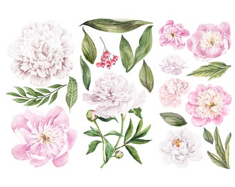 Morning Peonies - Re Design - Décor Transfers - Home Decorating - Floral - DIY - Mixed Media - Rub On - 653514 - Mini Transfer