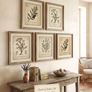 Mediterranean Botanical Wall Art Set of 5, Vintage Olive Branch & Herbs Prints, Rustic Kitchen Wall Decor, Digital Download
