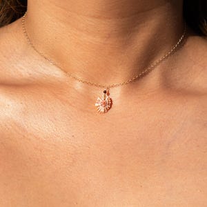 May include: A delicate gold-toned chain necklace featuring a small, natural seashell pendant. The shell is light tan with subtle pinkish-brown radial stripes and is attached to the chain by a tiny dark bead at the top of the shell.