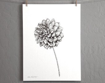 絵画　Dahlia Dahlia - Garden Flowers - Black and White Minimalist Floral