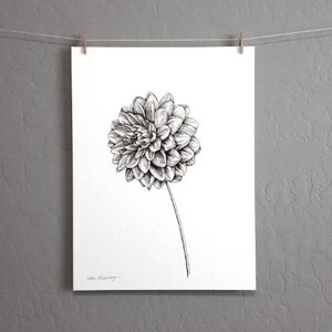 Dahlia - Garden Flowers - Black and White Minimalist Floral - Original Pen and Ink Drawing - 9x12 Artwork by Mia Vredenburg