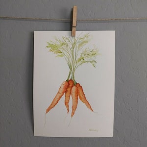 Carrots - Orange Root Vegetable - Kitchen Dining Room Decor Farmhouse - Original Watercolor Painting - 9x12 Artwork by Mia Vredenburg