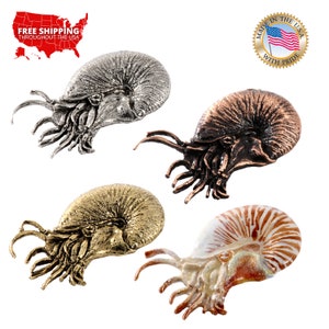 Nautilus Pin, Pewter, Ocean, Nautical, Fossil, Sea, Marine, Nautilus, Lapel, Hat, Pins, Brooch, Jewelry, Gift, Handmade in the USA. A164PRZ