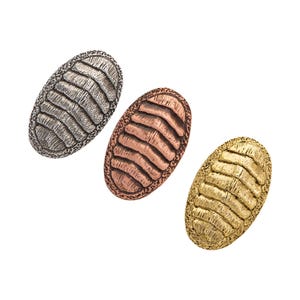 Chiton Pin, Pewter, Chiton, Shell, Ocean, Beach, Shellfish, Lapel, Hat, Pins, Brooch, Brooches, Jewelry, Gift, Handmade in the USA A168A