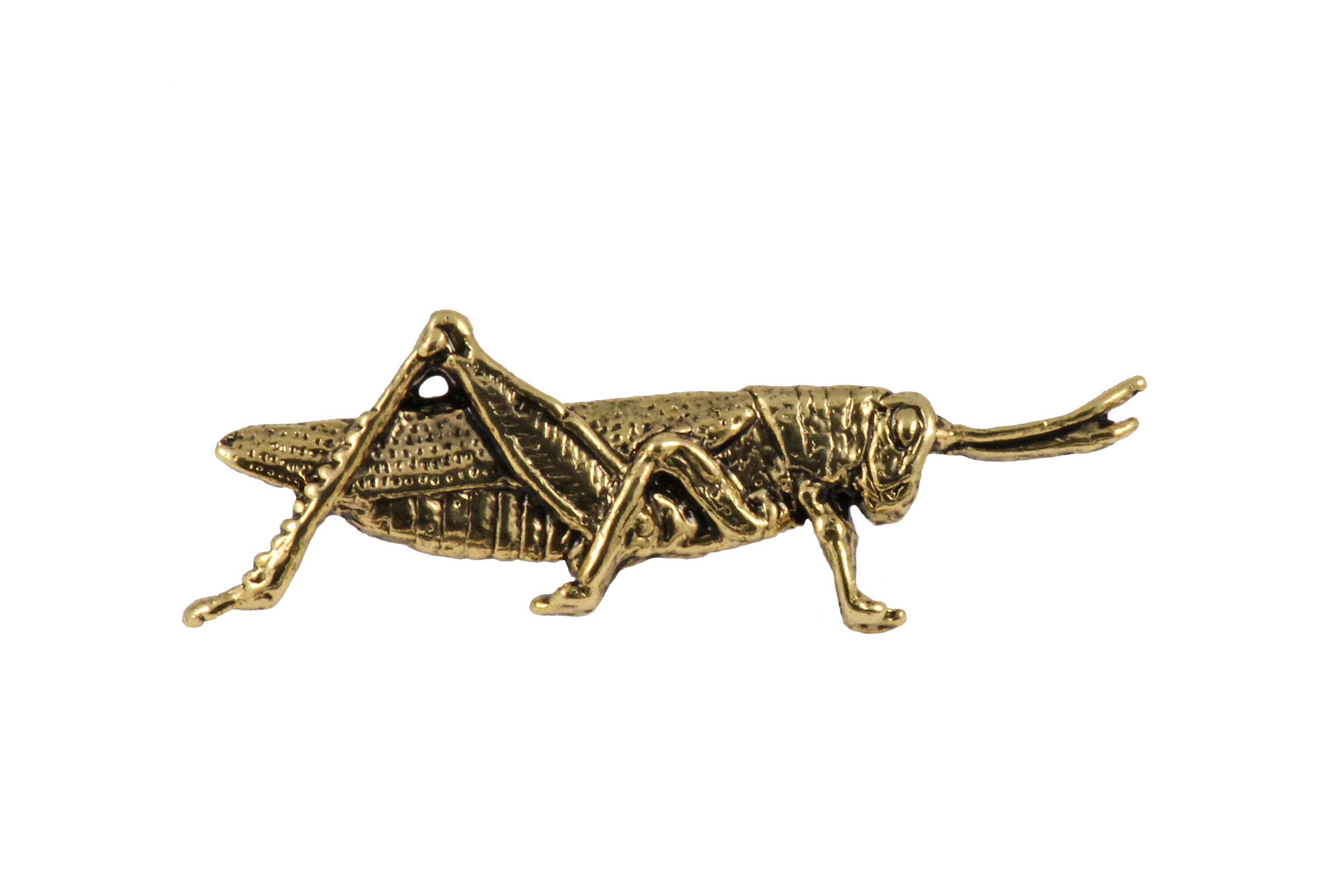 バッタのピン、ピューター、虫、昆虫、ラペル、帽子、ピン、ブローチ