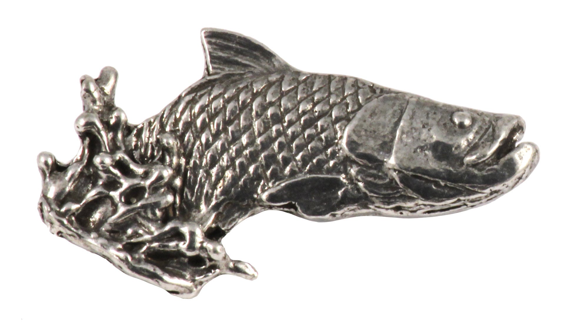 Ensemble De Douze étiquettes De Filets De Poisson De Qualité Supérieure