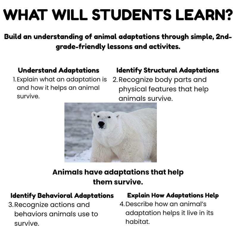Mini Science Poster Animal Adaptations 2nd Grade Science Mini Unit/printable Worksheets ...