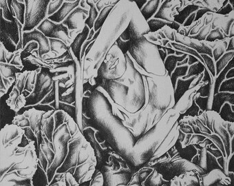 Drawing - Wrapped in leaves