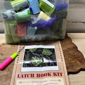 May include: A latch hook kit containing a clear plastic bag filled with various colored acrylic yarn bundles, a pre-printed canvas, and a hook tool with a pink and green handle. The instruction paper displays the text LATCH HOOK KIT.