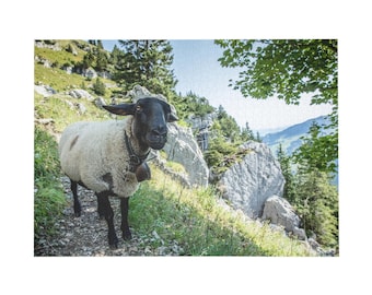 Op de afbeelding: Een schaap met een zwarte kop en witte wol staat op een rotsachtig bergpad. Het schaap draagt een donkere halsband met een metalen bel. De achtergrond toont een steile grashelling, grote kalkstenen rotsformaties en groene bomen.