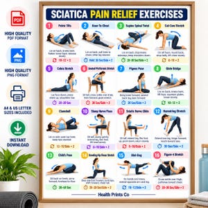 May include: A framed instructional poster titled Sciatica Pain Relief Exercises featuring sixteen numbered illustrations of a person in blue athletic wear performing various stretches and movements with descriptive text and repetition counts for each.