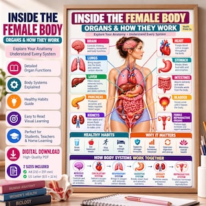 May include: An educational poster titled Inside the Female Body: Organs & How They Work, featuring a central anatomical illustration of internal organs with labels for the brain, heart, lungs, stomach, liver, intestines, pancreas, kidneys, and bladder.