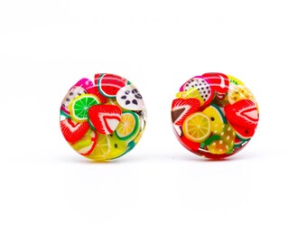 FRUIT SALAD RESIN Stud Earrings, 16mm Circle Resin Stud Earrings, Colourful Hypoallergenic Earrings, Fruit Salad