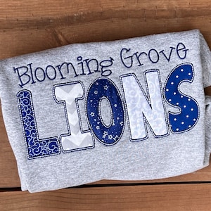 Custom School Spirit Sweatshirt, Applique Embroidered Letters
