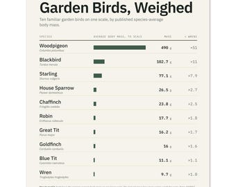 Garden Bird Weight Comparison Chart Poster, Robin Wren Size Scale (Print)