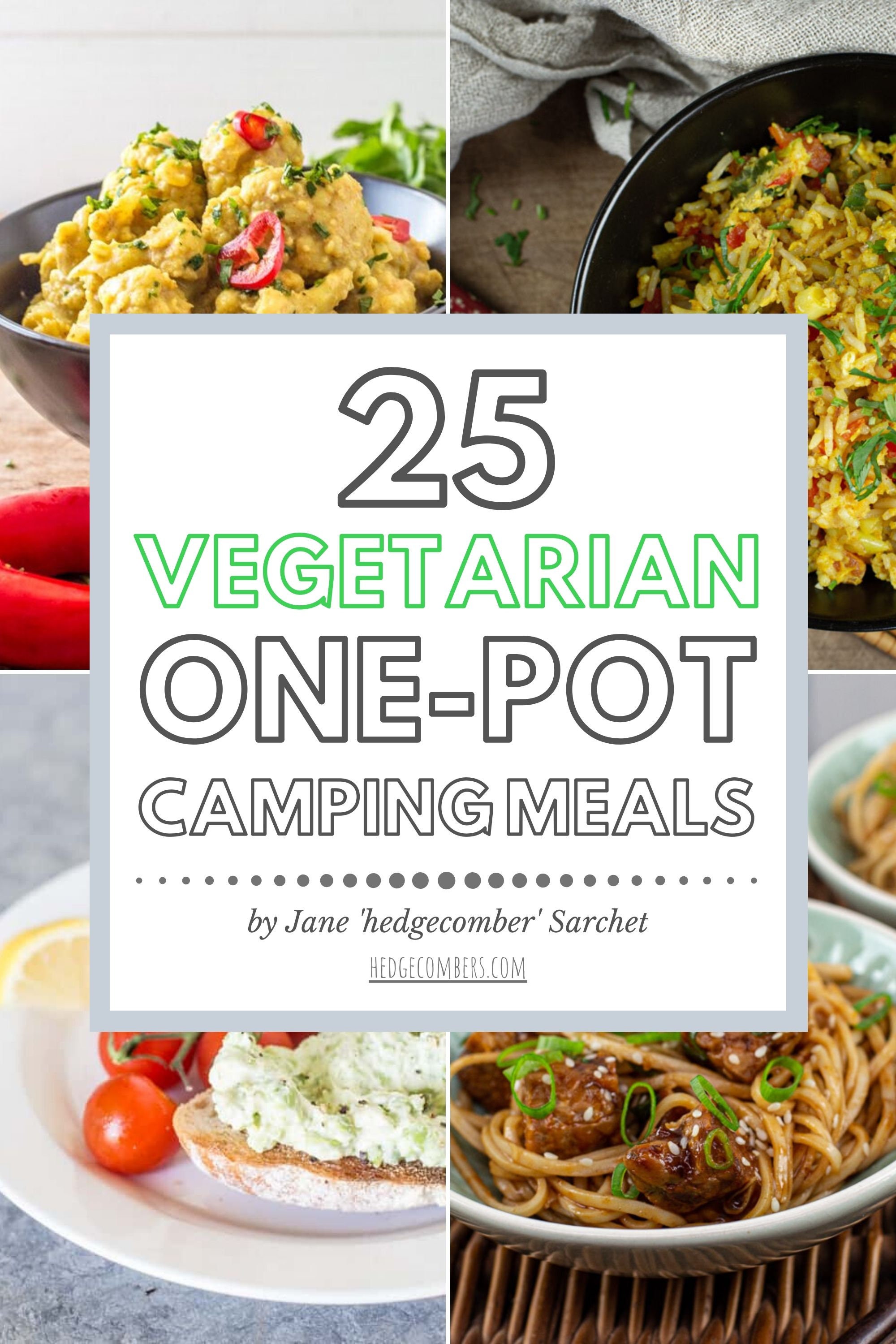 One Pot Vegetarian Camping Meals Cookbook eBook Digital Etsy