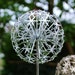 see more listings in the Allium stem sculpture section