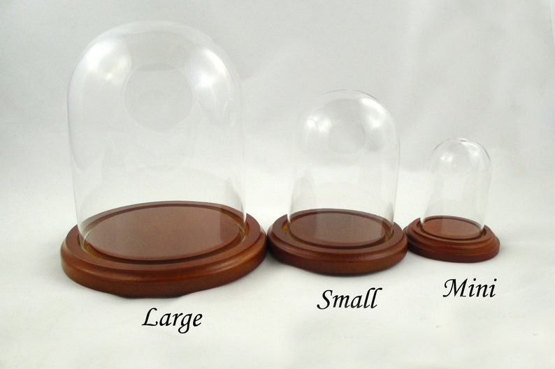 Large Glass Dome Display Glass Dome Stand Glass Cloche Etsy