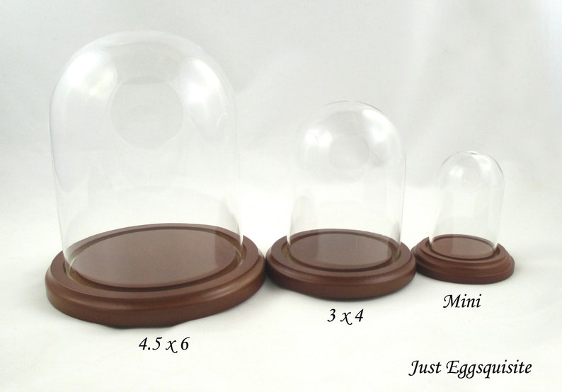 Mini Glass Dome Stand, Glass Cloche, Cloche, Quail Egg Stand, Egg Stand, Glass Display Stand, Egg Display Stand, Pysanky Stand, Walnut Color image 3