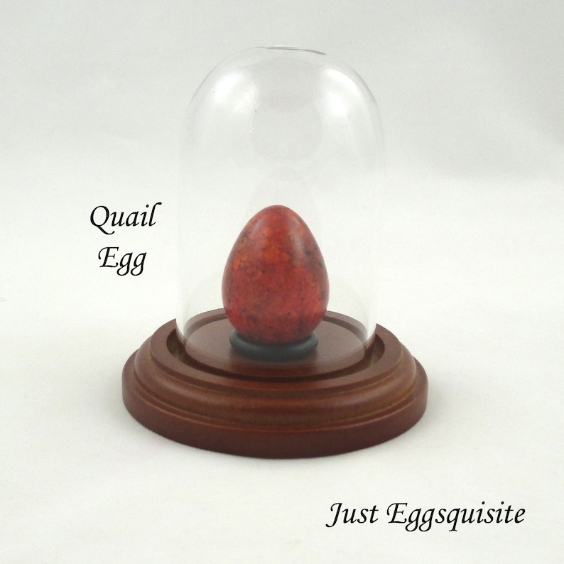 Mini Glass Dome Stand, Glass Cloche, Cloche, Quail Egg Stand, Egg Stand, Glass Display Stand, Egg Display Stand, Pysanky Stand, Walnut Color image 2