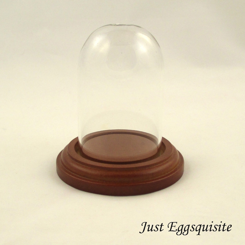 Mini Glass Dome Stand, Glass Cloche, Cloche, Quail Egg Stand, Egg Stand, Glass Display Stand, Egg Display Stand, Pysanky Stand, Walnut Color image 1