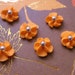 see more listings in the 1/2 inch flowers section