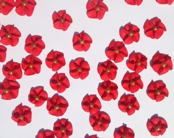 100 Red Royal Icing Flowers with Gold Pearl Center