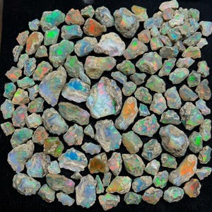May include: A collection of numerous raw, unpolished opal stones of varying sizes and shapes. Each stone features a translucent to opaque base with vibrant flashes of iridescent color, including bright green, orange, and blue, set against a dark background.
