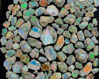 May include: A collection of numerous raw, unpolished opal stones of varying sizes and shapes. Each stone features a translucent to opaque base with vibrant flashes of iridescent color, including bright green, orange, and blue, set against a dark background.
